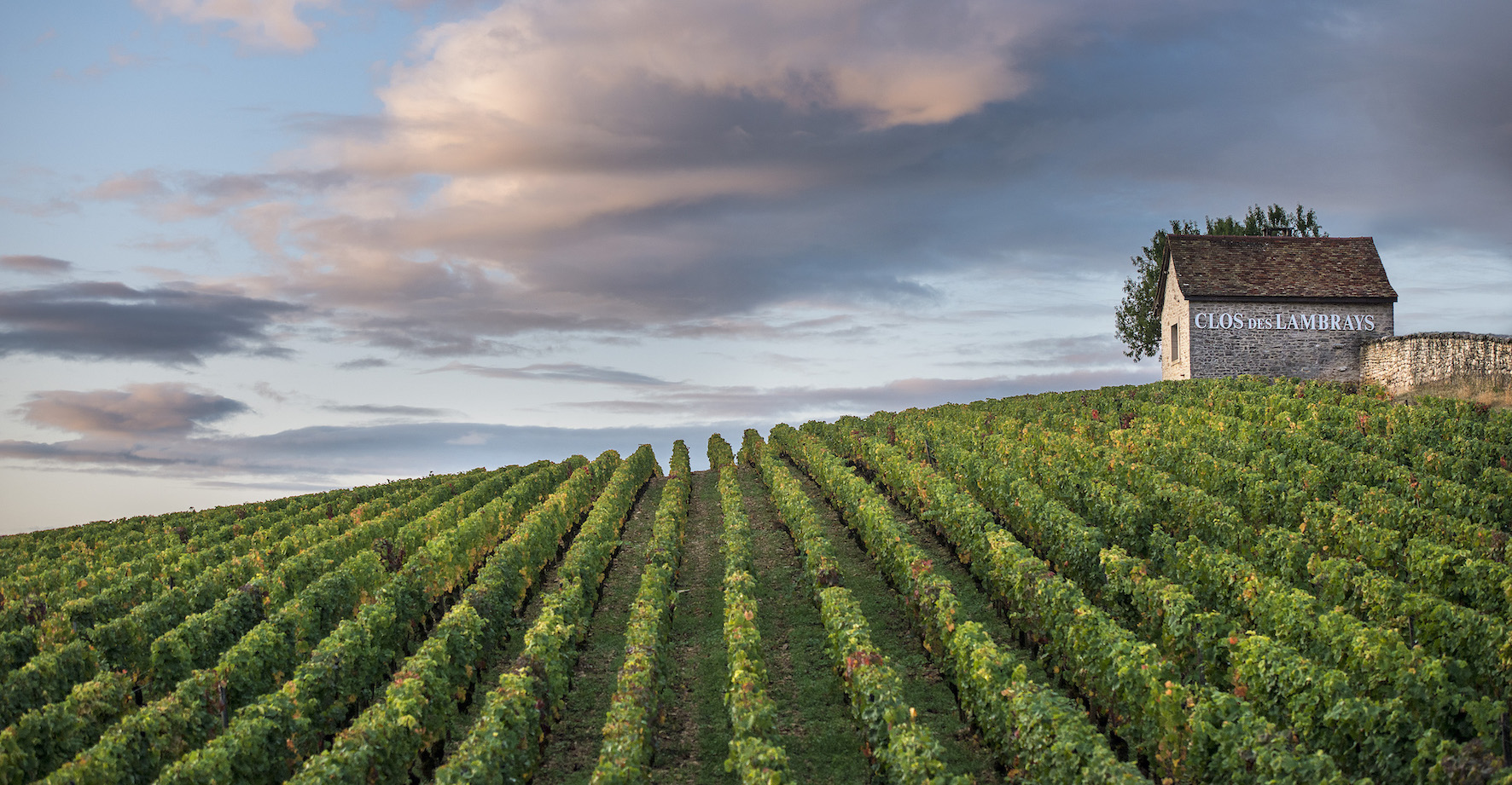 Domaine des Lambrays