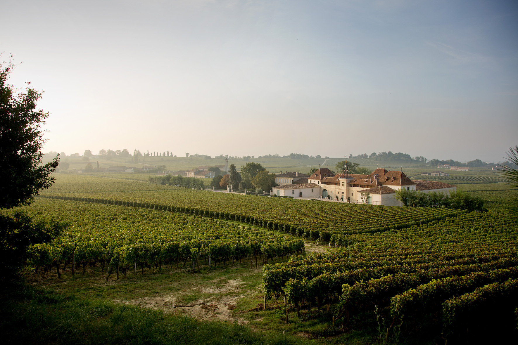Château Angelus