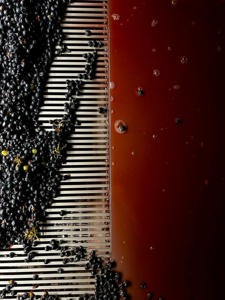 Domaine Baron Thenard