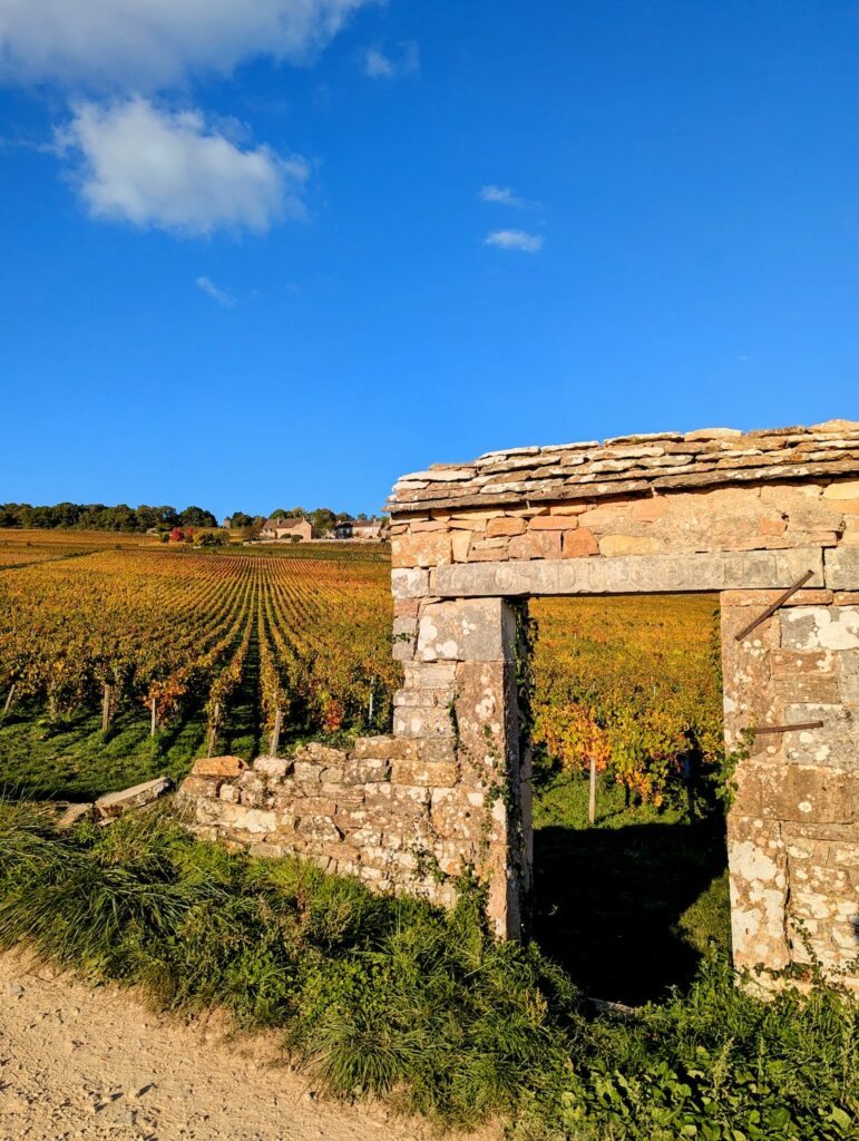 Domaine Baron Thenard